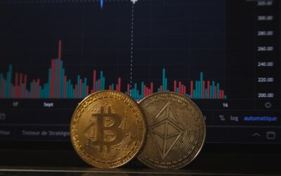 How to Spot a Credible Crypto: A Complete Guide 