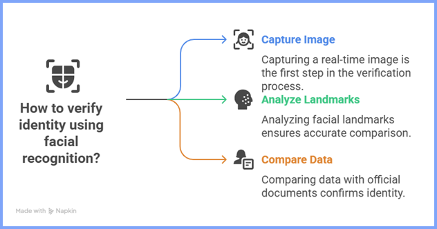 Steps on how to check a fake profile with facial recognition: capture image, analyze landmarks, and compare data
