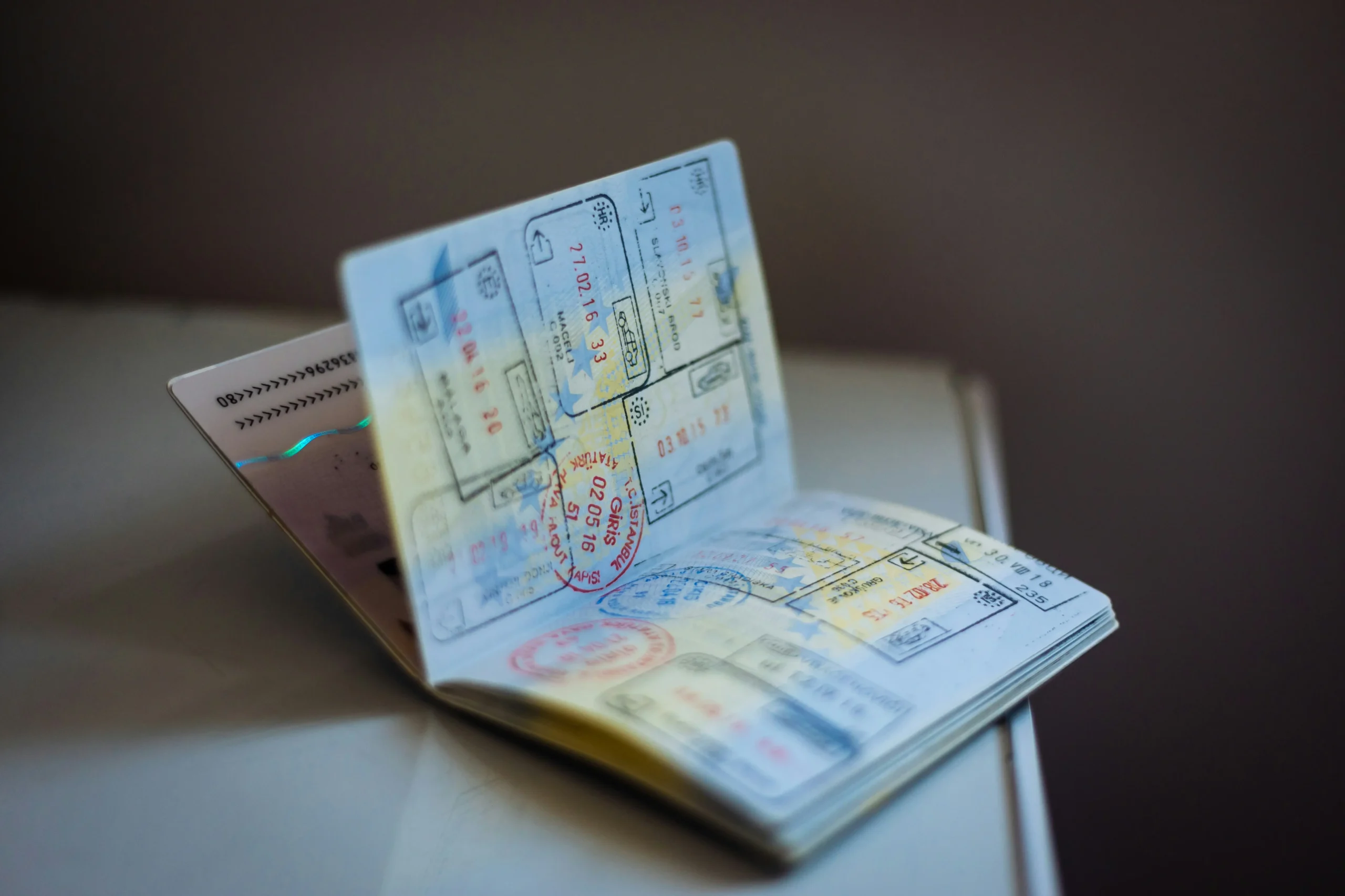How To Check A Document For Fraud in Minutes: Guide