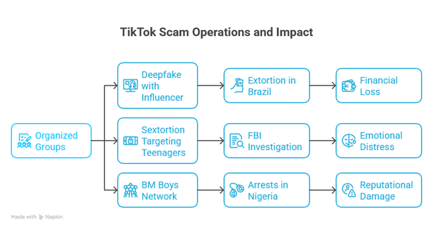 Diagram showing how networks linked to a TikTok scammer girl operate and their impact