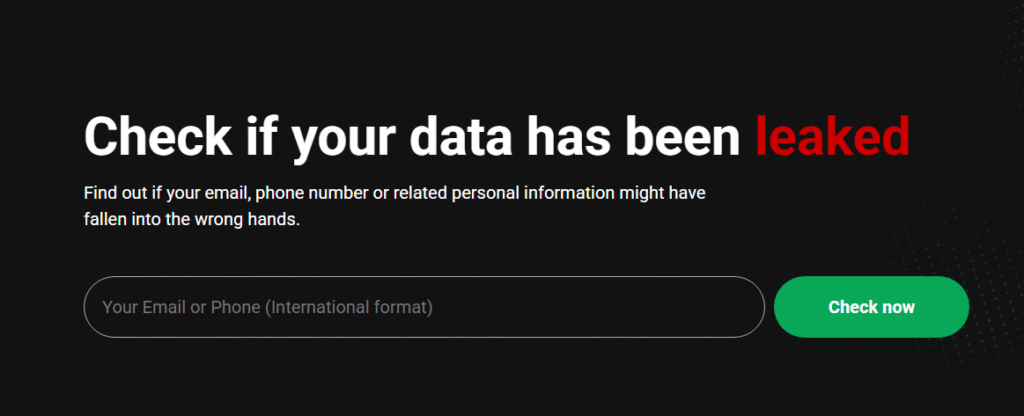 Cybernews data leak checker screen
