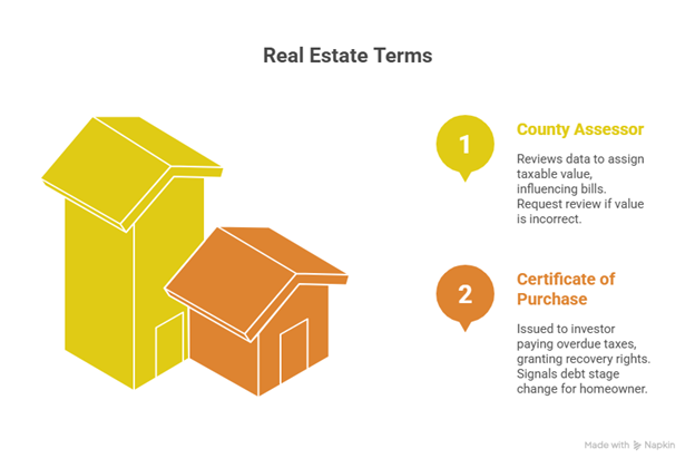 Infographic showing County Assessor and Certificate of Purchase in property tax context